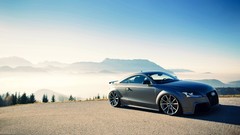 Audi audi tt Audi TT RS matte colored canibeat