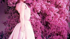 Audrey Hepburn bougainvillea
