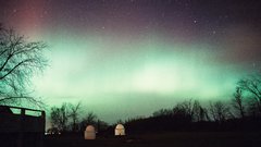 Aurora awesome non leopard