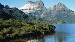 Australia doves tasmania Cradle Mountain
