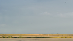 Australia high World