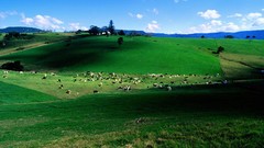 Australia new south wales