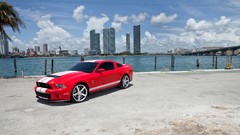 Auto cars Shelby gt 500 american cars shelby gt500 muscle cars 