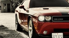 Auto cars stripes vehicles american cars muscle cars red cars 