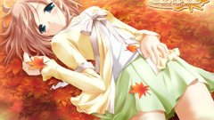 Autumn Anime Manga canvas com amane konachan tachibana