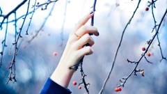 Autumn branches hands Berries rings nail polish blurred 