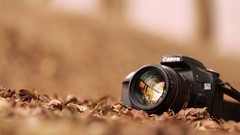 Autumn Cameras reflections canon Canon EOS