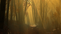 Autumn digital illustration