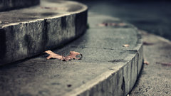 Autumn falling down stairways