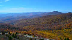 Autumn forests appalachian