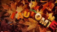 Autumn geckos fallen leaves Smashing magazine