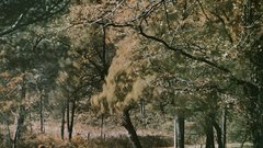 Autumn long Island New