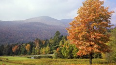 Autumn mount vermont