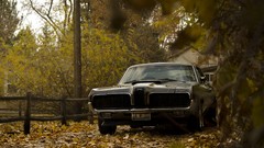 Autumn muscle cars Mercury Cougar