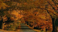 Autumn national geographic roads