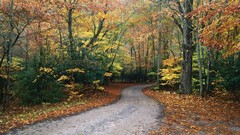 Autumn paths national park forests north carolina Country Roads