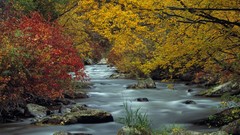 Autumn Range idaho rivers