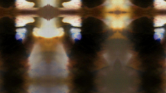 Autumn season animal collective