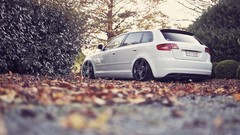 Autumn tuning cars Belgium low-angle shot Audi A3