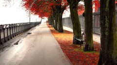 Autumn ubuntu alley