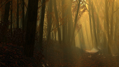 Autumnwoodx