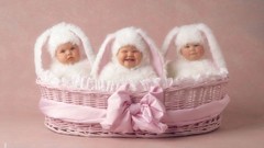 Baby baskets Anne Geddes