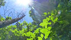 Back from just Got ) With Gettysburg optimized