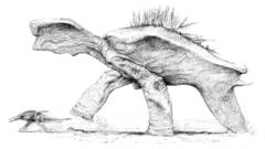 Back grove high expedition Resolution