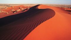 Back had delicious bit