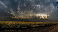 Back page The first bump cisd