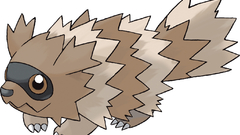 Background zigzagoon Anime Pokemon