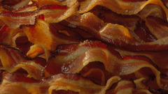 Bacon