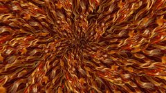 Bacon burst vortex where