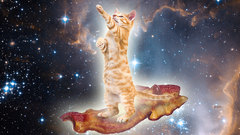 Baconcat galactica Space