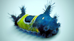 Badass catepi bump high