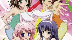 Baka to test to shoukanjuu animal ears himeji mizuki kirishima 