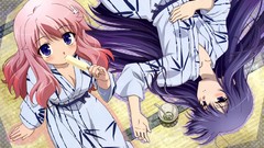 Baka to test to shoukanjuu himeji mizuki kirishima shouko 
