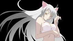 Bakemonogatari animal ears cat