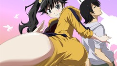 Bakemonogatari araragi koyomi araragi karen nisemonogatari