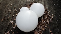 Balloons fallen leaves wooden