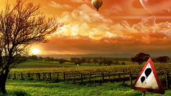 Balloons orange sky farm