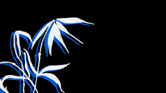 Bamboo by harualea moar