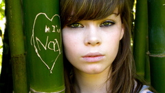 Bamboo high II win Resolution melindasherrill