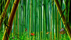 Bamboo Oh snap tiem
