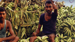 Bananas album covers deep