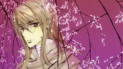 Bandages blondes glasses brown