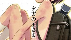 Bandaids white background summer