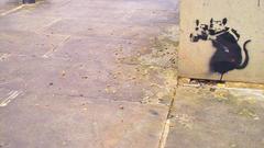 Banksy rat photographer high