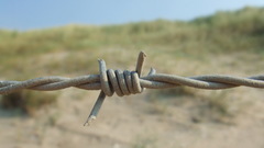 Barb wire