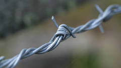Barbed wire